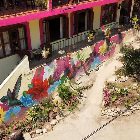 La Posada Pacifica Puerto Vallarta Luaran gambar